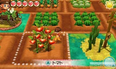 Story of Seasons: Trio of Towns_1
