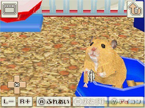 Oshare Hamster to Kurasou: Issho ni Odekake_1